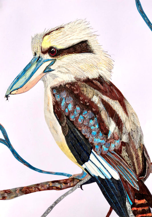 Australian Animal Series - Kookaburra