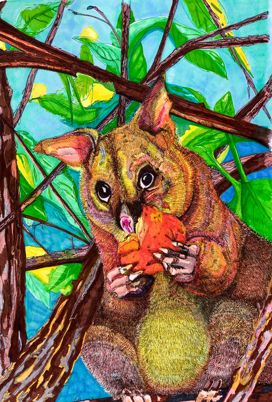 Australian Animal Series - Ring Tailed Possum