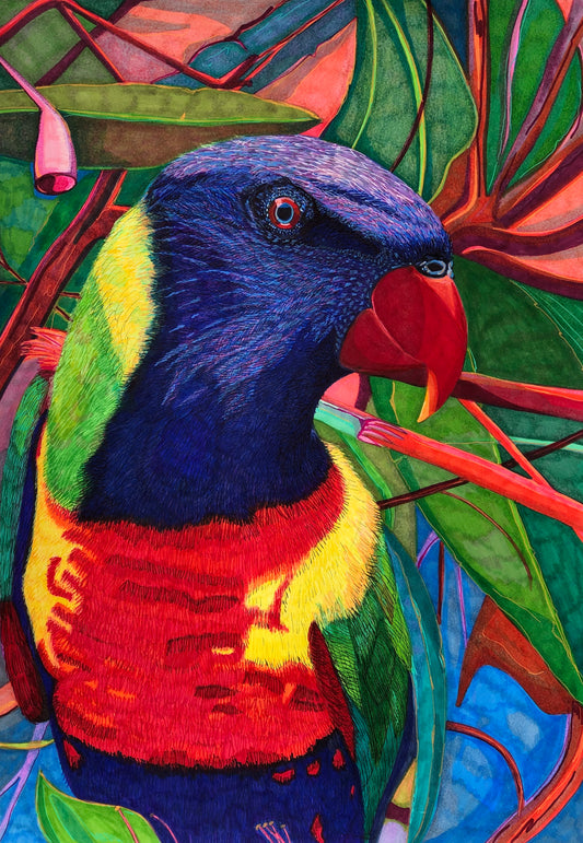 Australian Animal Series - Rainbow Lorikeet